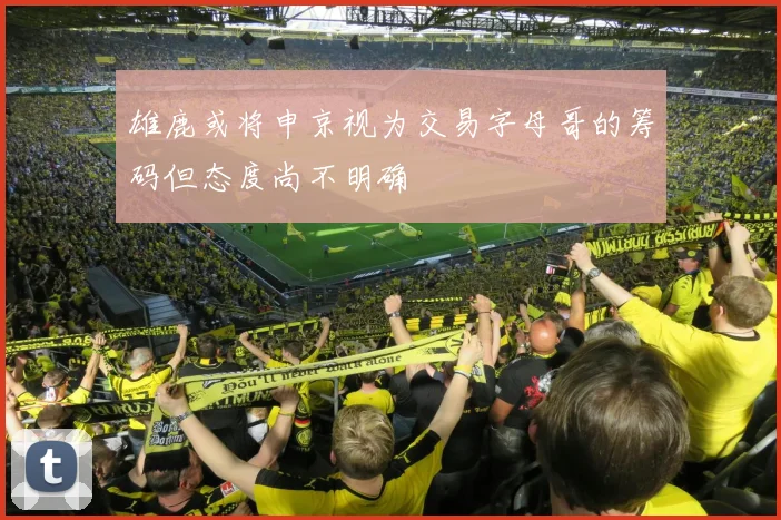 雄鹿或将申京视为交易字母哥的筹码但态度尚不明确
